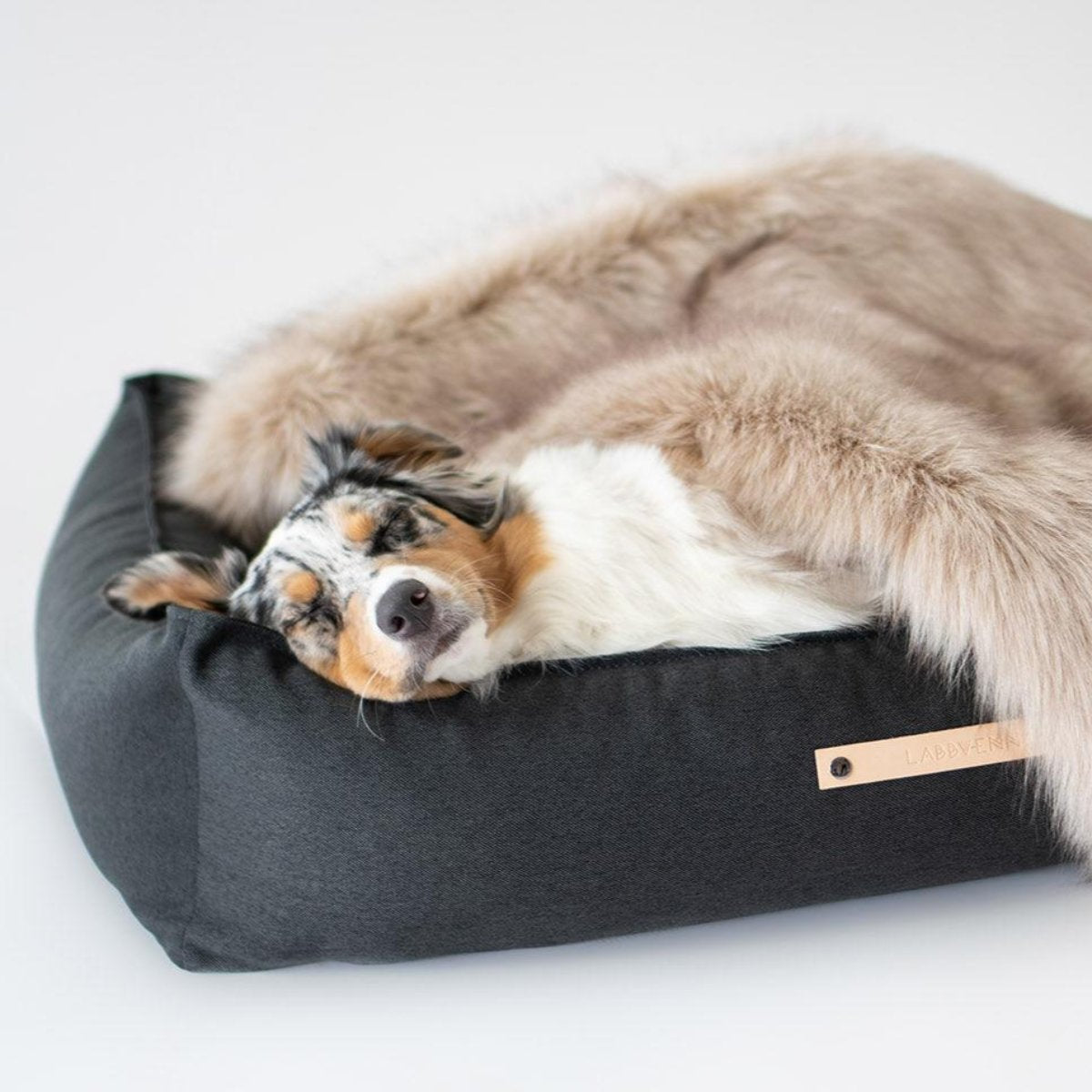 Panier rectangulaire pour chien - MOVIK - Kasibe