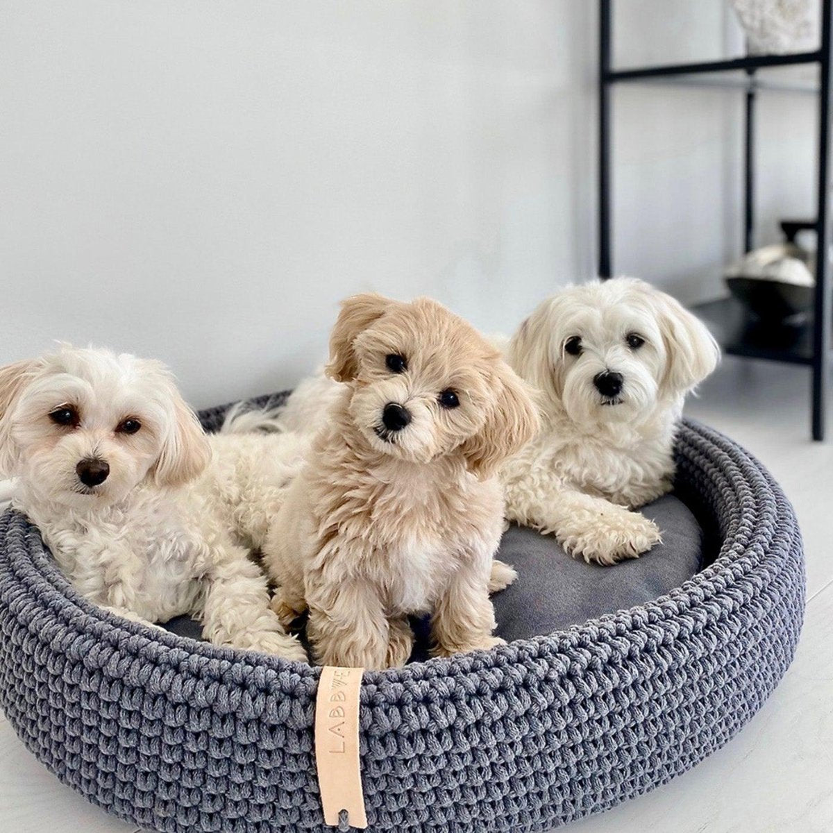 Panier tressé pour chien - LUKKO - Kasibe