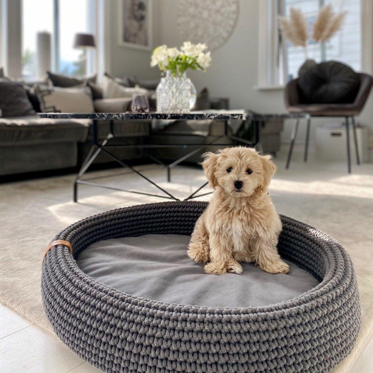 Panier tressé pour chien - LUKKO - Kasibe