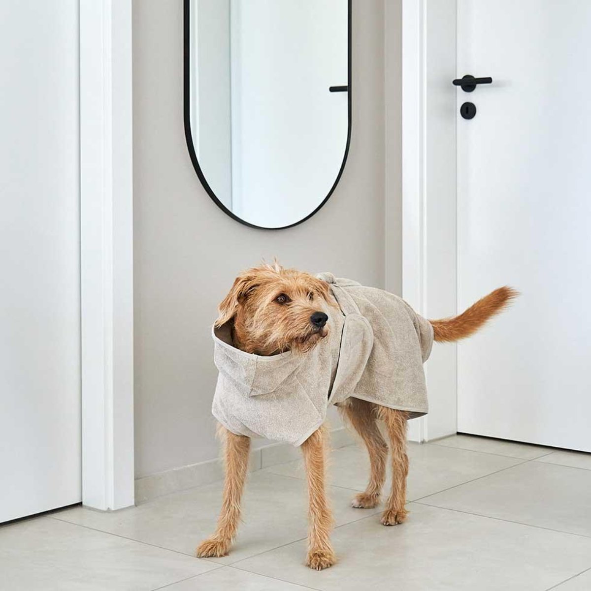 Peignoir pour chien absorbant - BAGNO - Kasibe