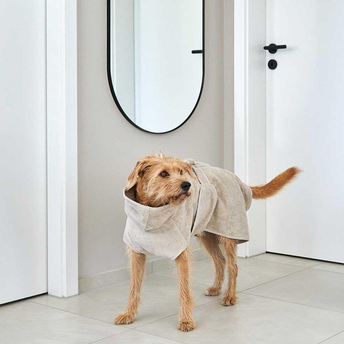 Peignoir pour chien absorbant - BAGNO - Kasibe