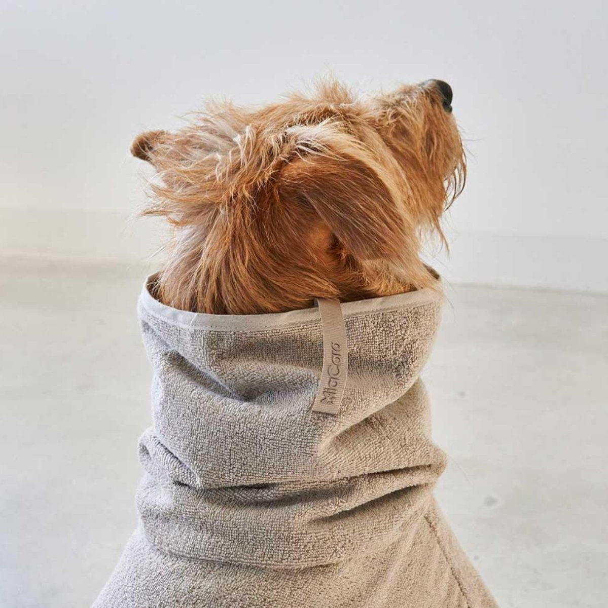 Peignoir pour chien absorbant - BAGNO - Kasibe