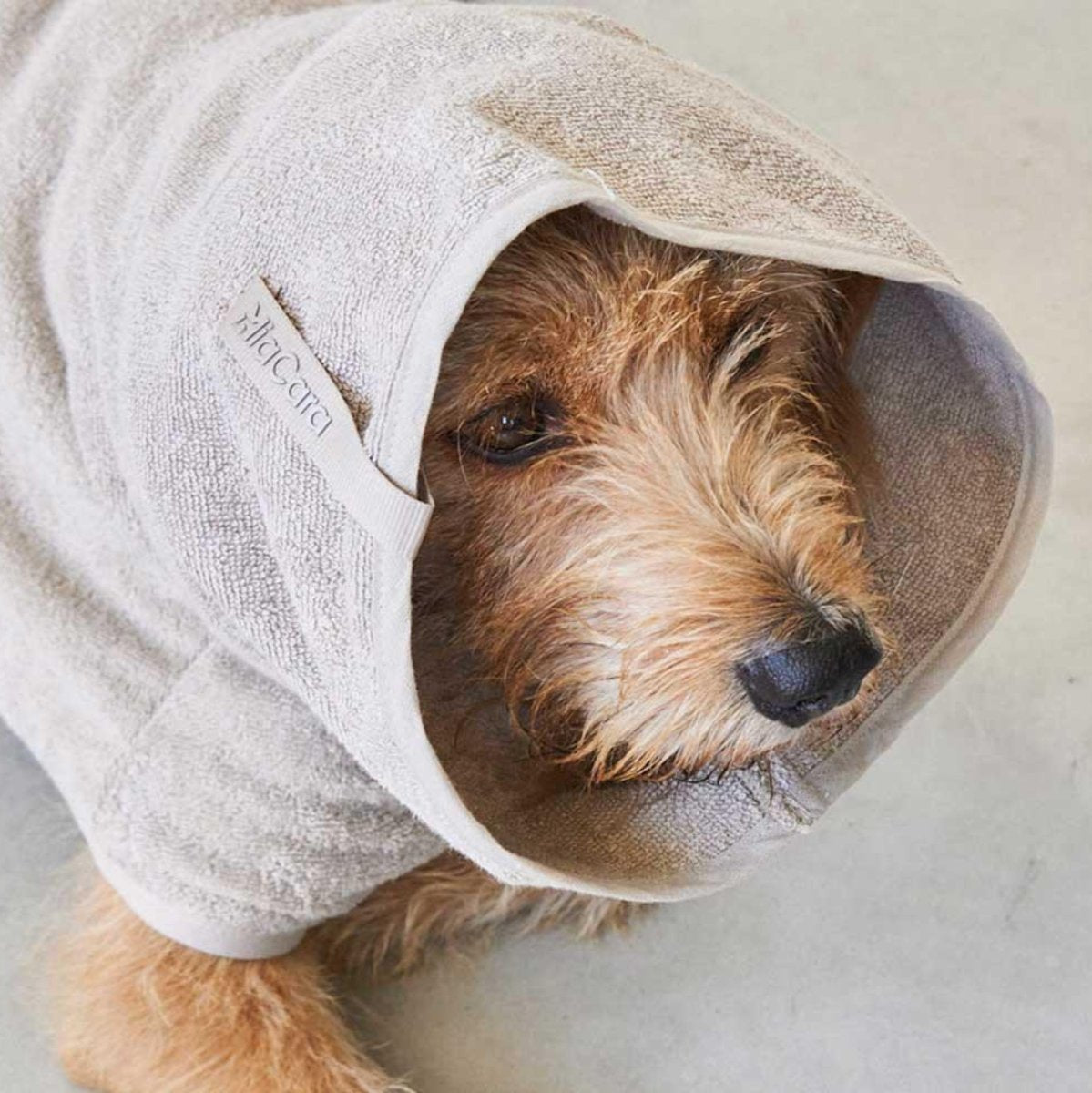 Peignoir pour chien absorbant - BAGNO - Kasibe