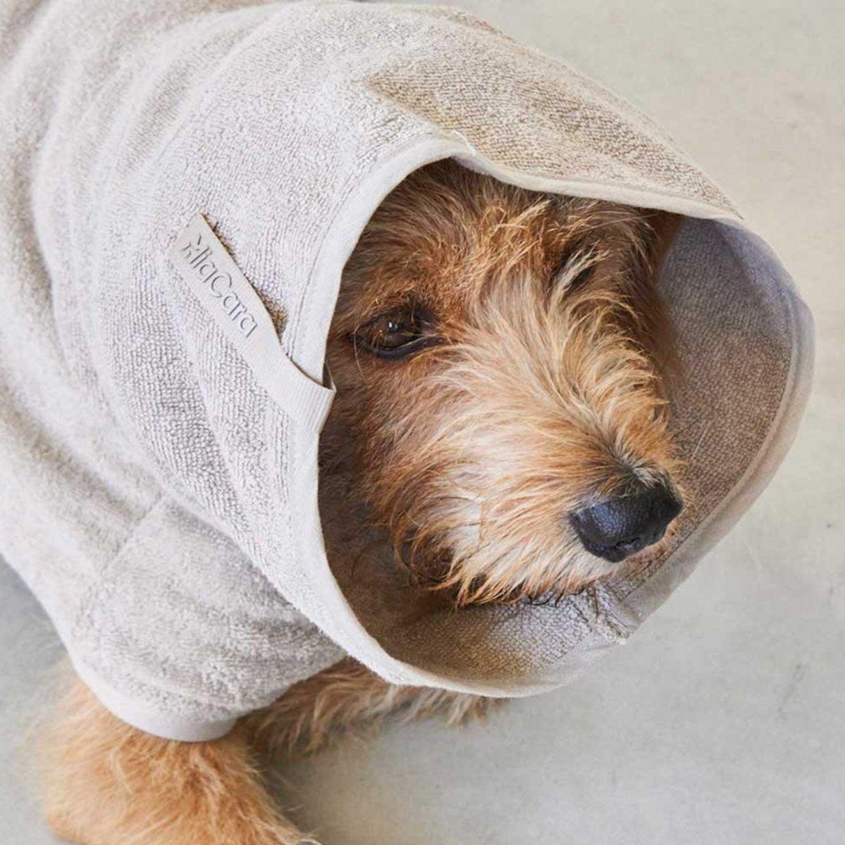 Peignoir pour chien absorbant - BAGNO - Kasibe