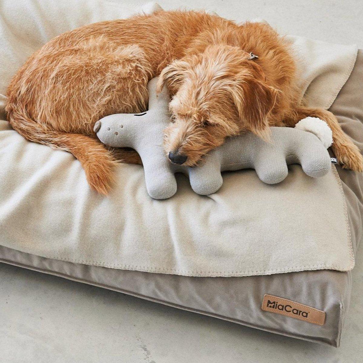 Peluche pour chien - BOSCO - Kasibe