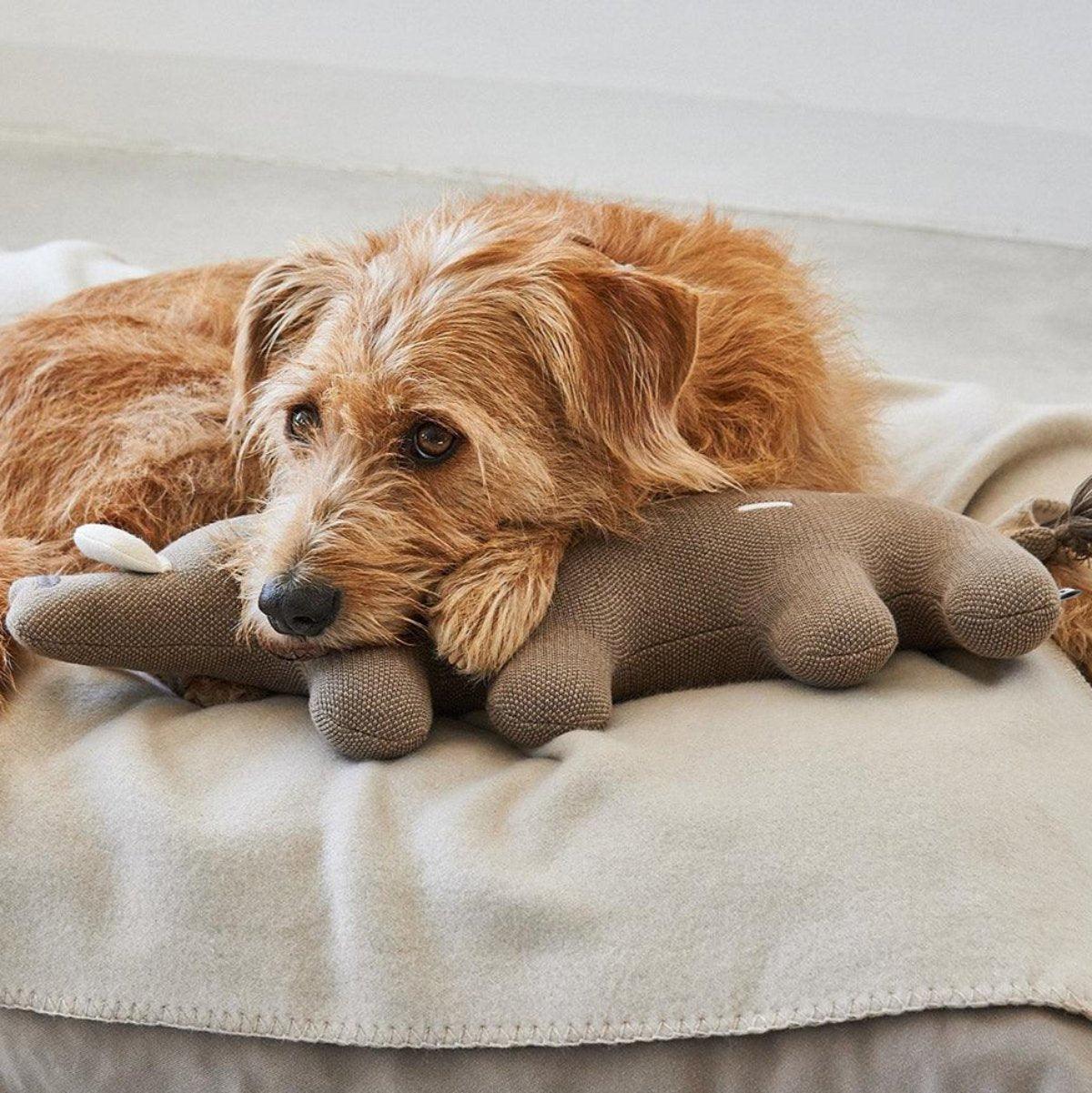 Peluche pour chien - BOSCO - Kasibe