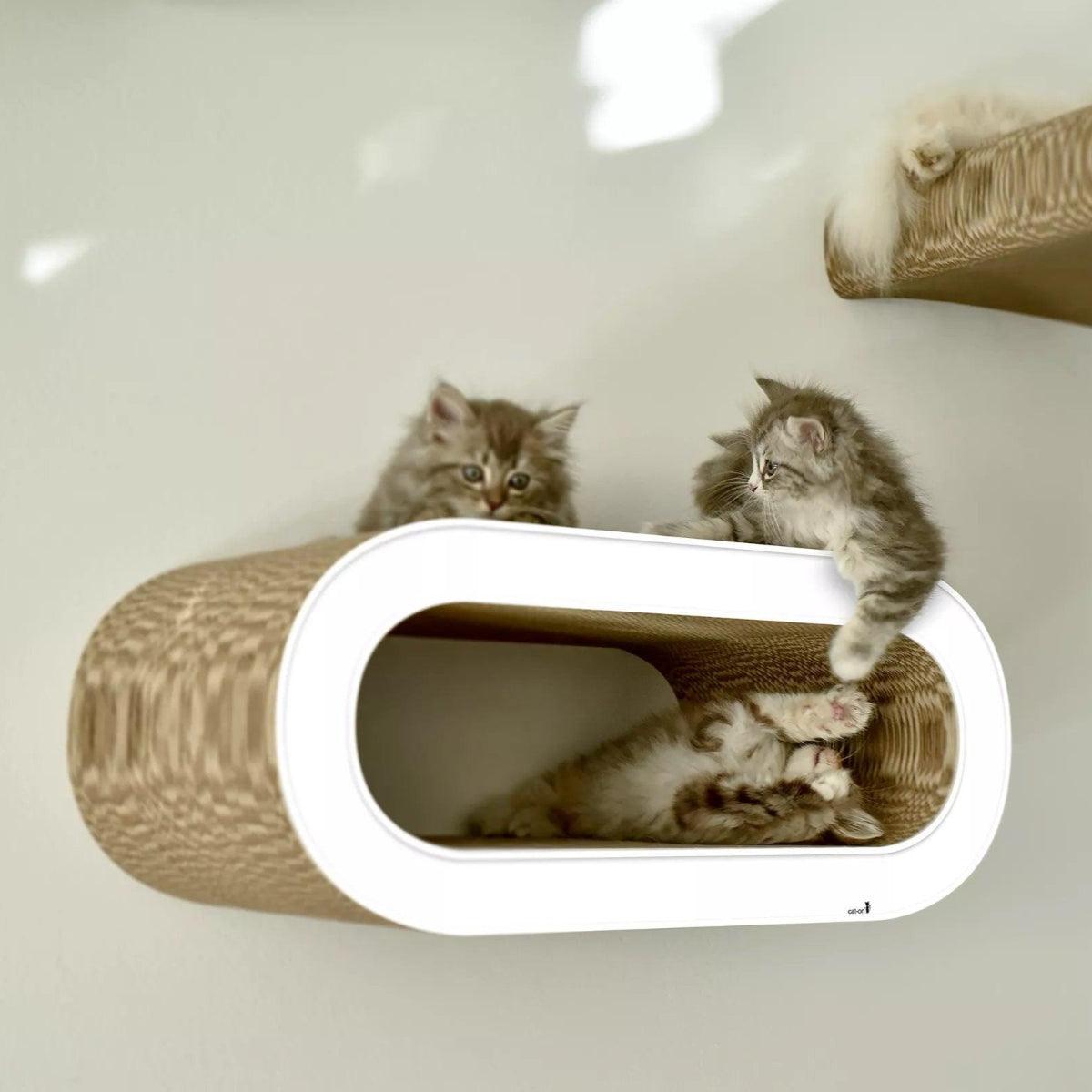 Perchoir pour chat - SET DE 2 GRIFFOIRS MURAUX - Kasibe