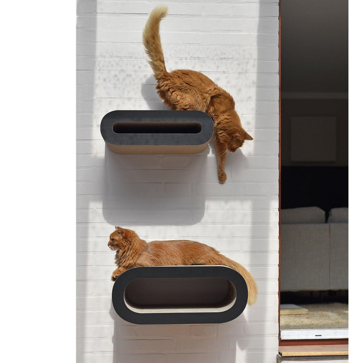 Perchoir pour chat - SET DE 2 GRIFFOIRS MURAUX - Kasibe