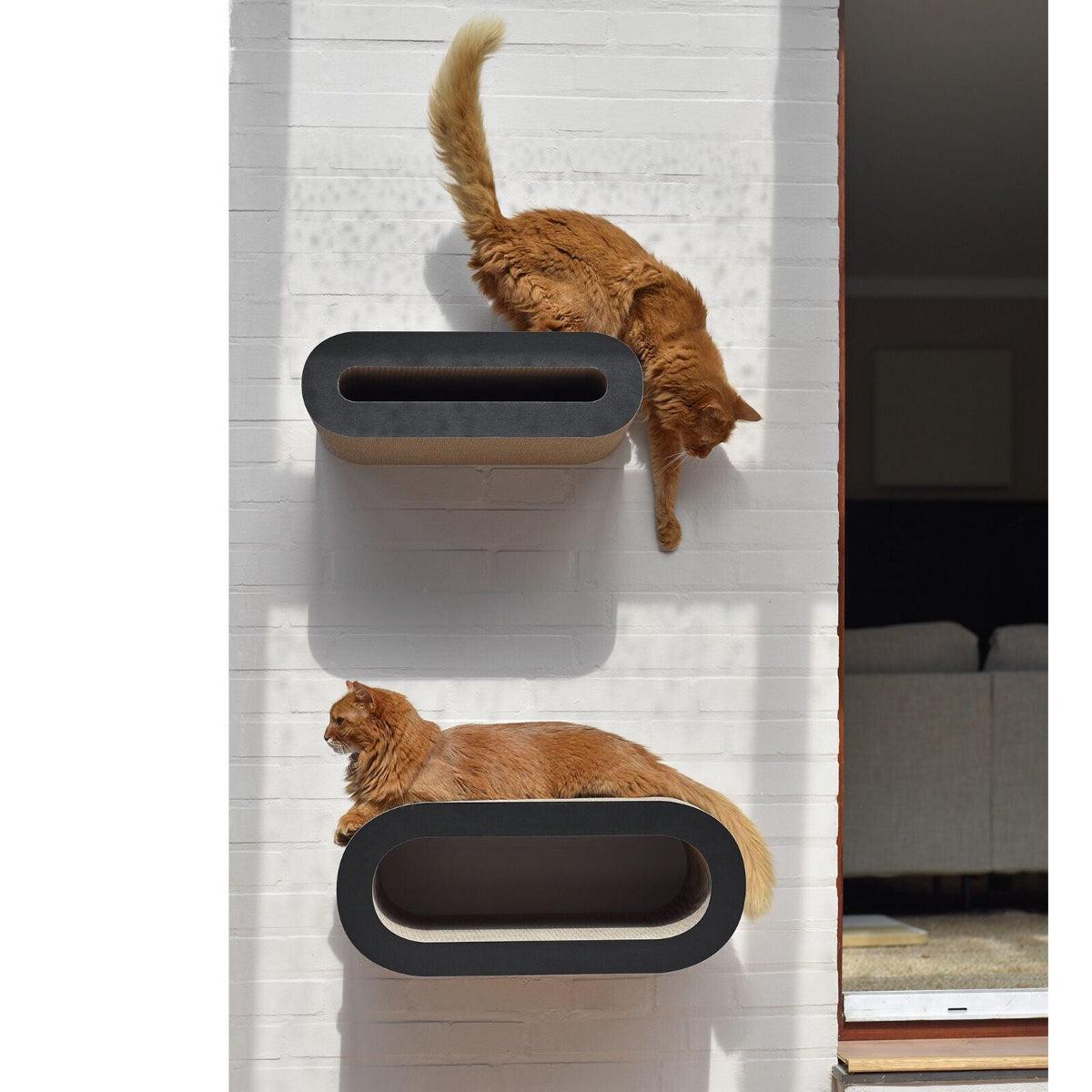 Perchoir pour chat - SET DE 2 GRIFFOIRS MURAUX - Kasibe