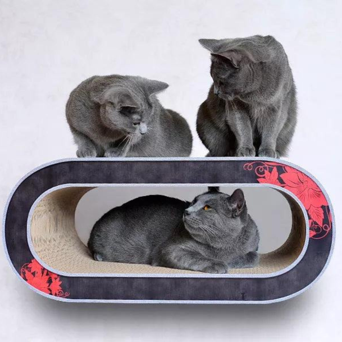 Perchoir pour chat - SET DE 2 GRIFFOIRS MURAUX - Kasibe