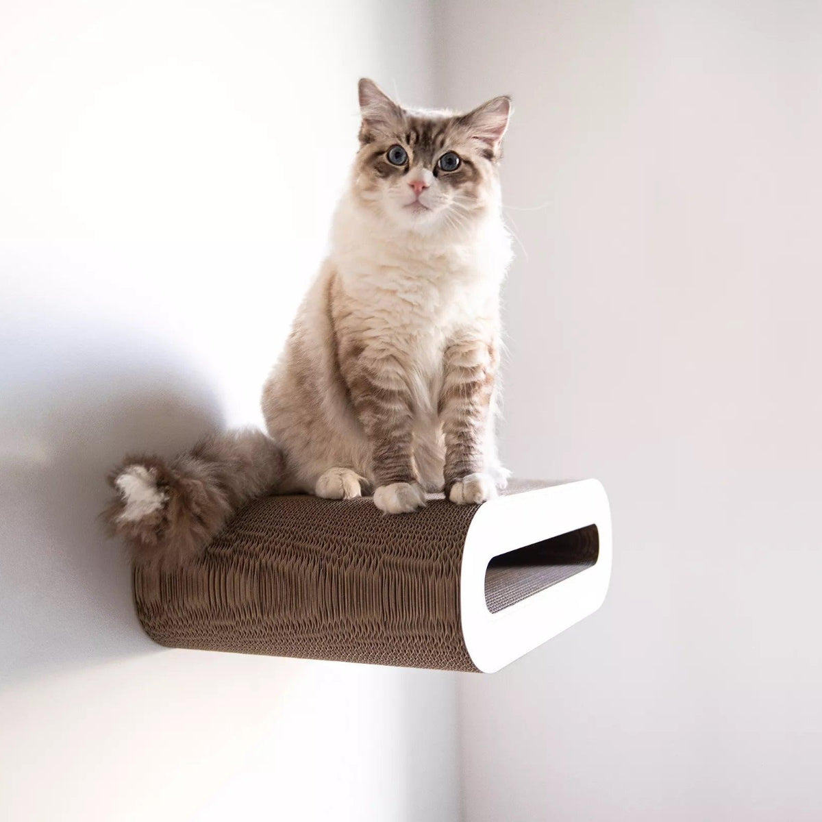 Perchoir pour chat - SET DE 2 GRIFFOIRS MURAUX - Kasibe