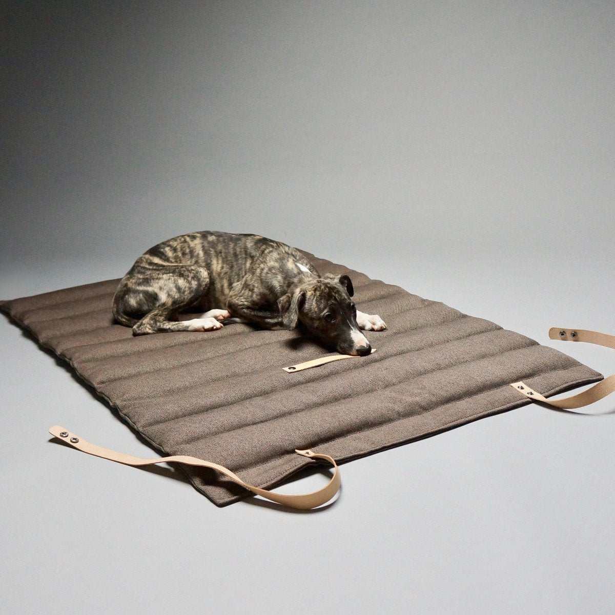 Plaid de transport pour chien - FOSSER - Kasibe