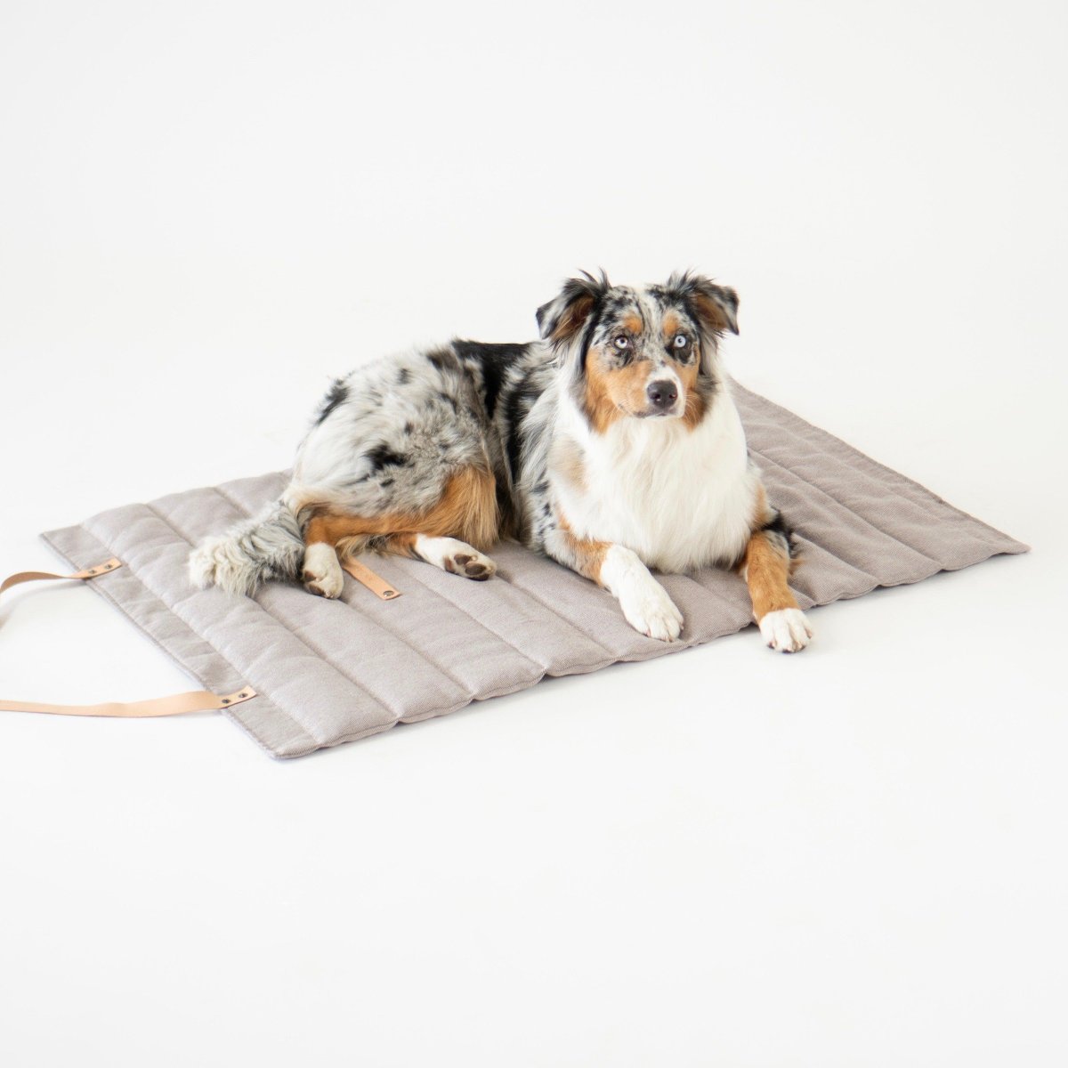 Plaid de transport pour chien - FOSSER - Kasibe