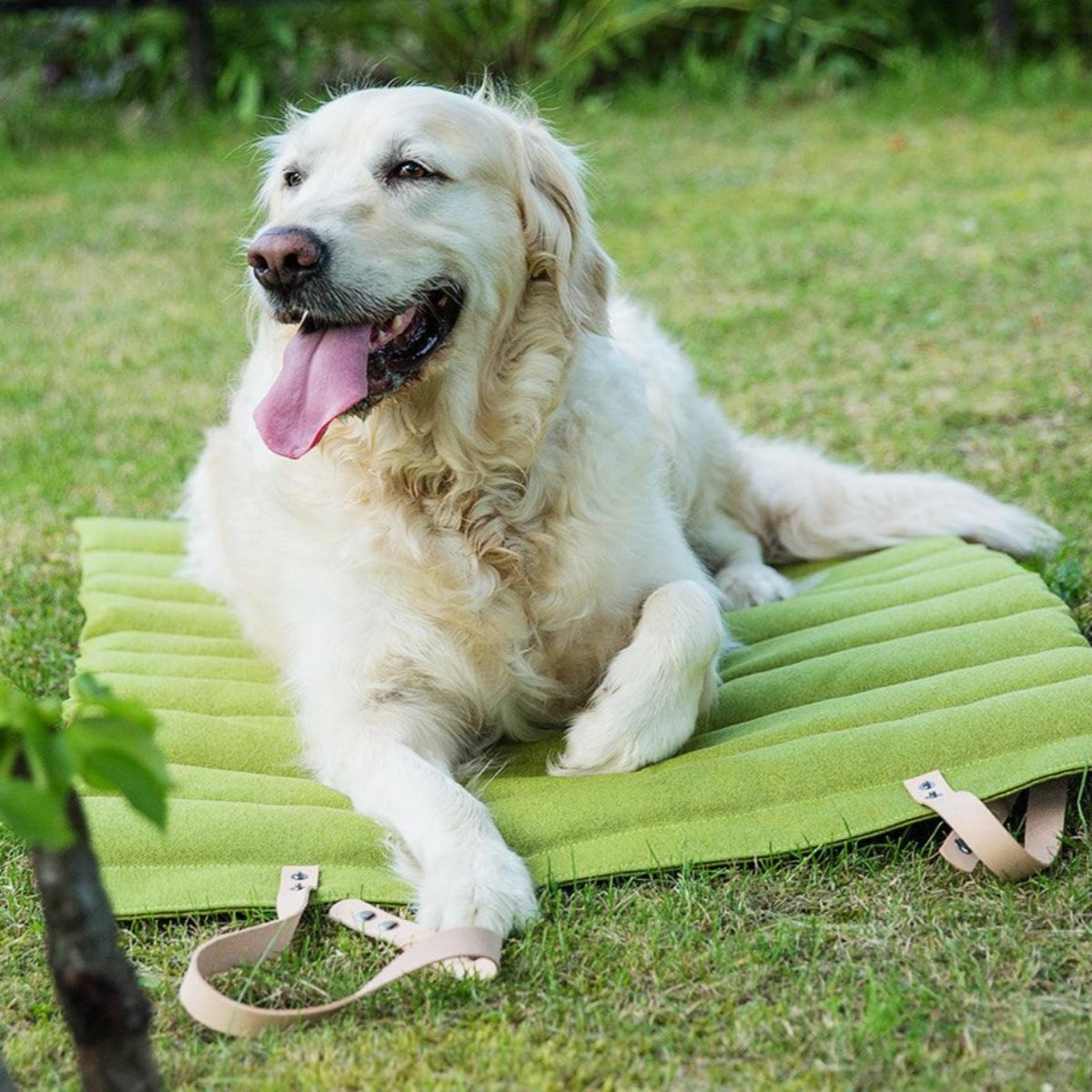 Plaid de transport pour chien - FOSSER - Kasibe