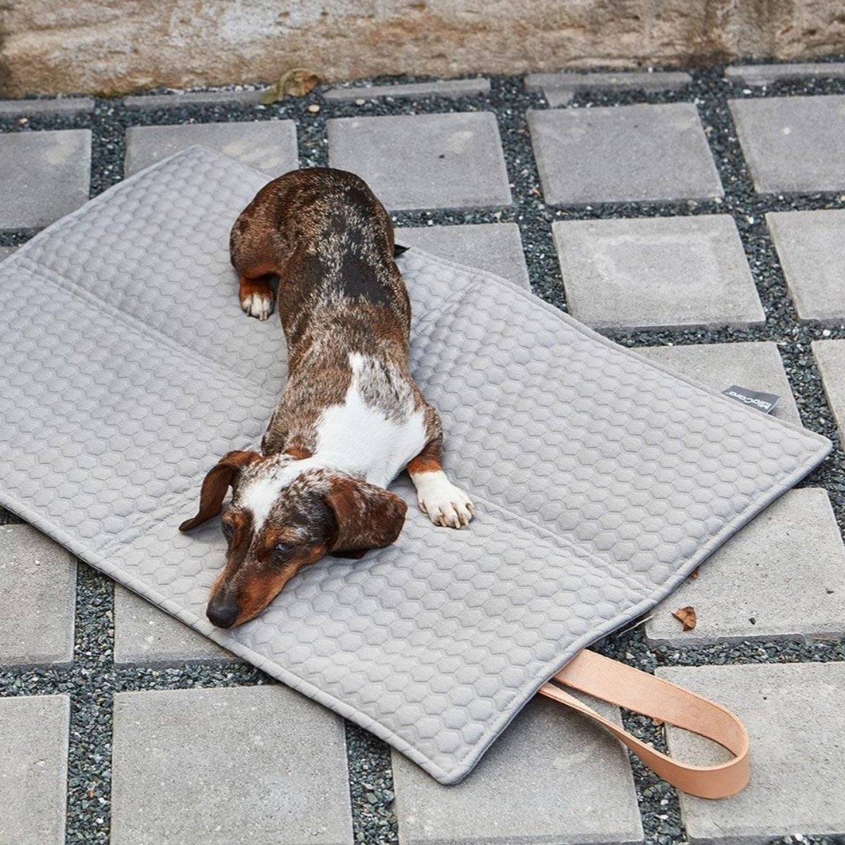 Plaid de voyage pour chien - COSMO FAVO - Kasibe