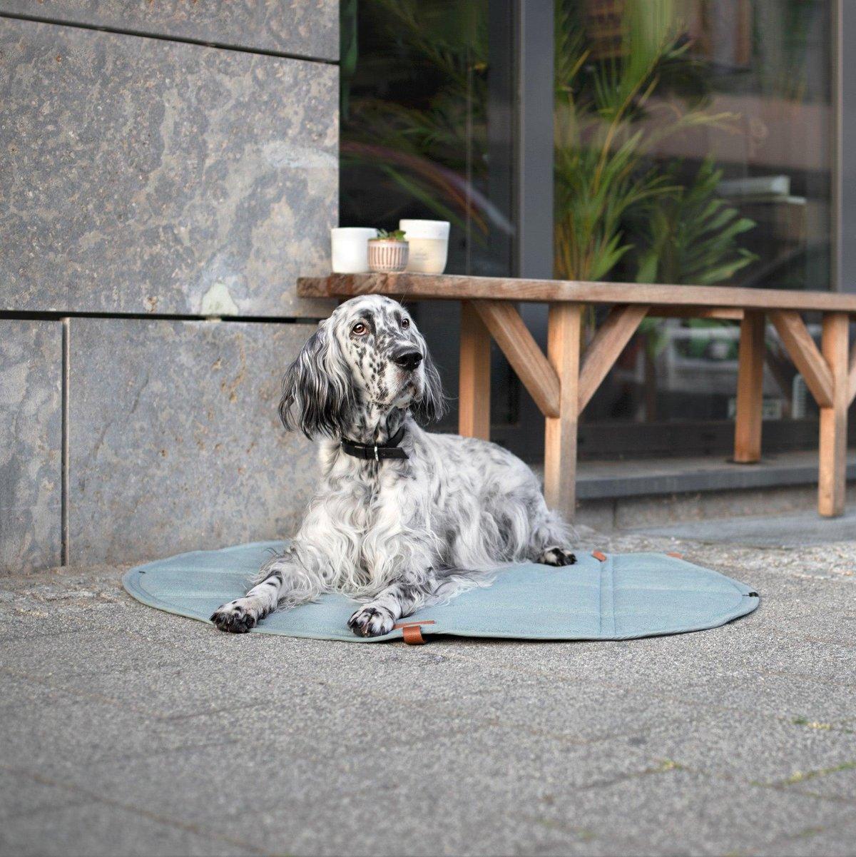 Plaid de voyage pour chien - OKKA - Kasibe