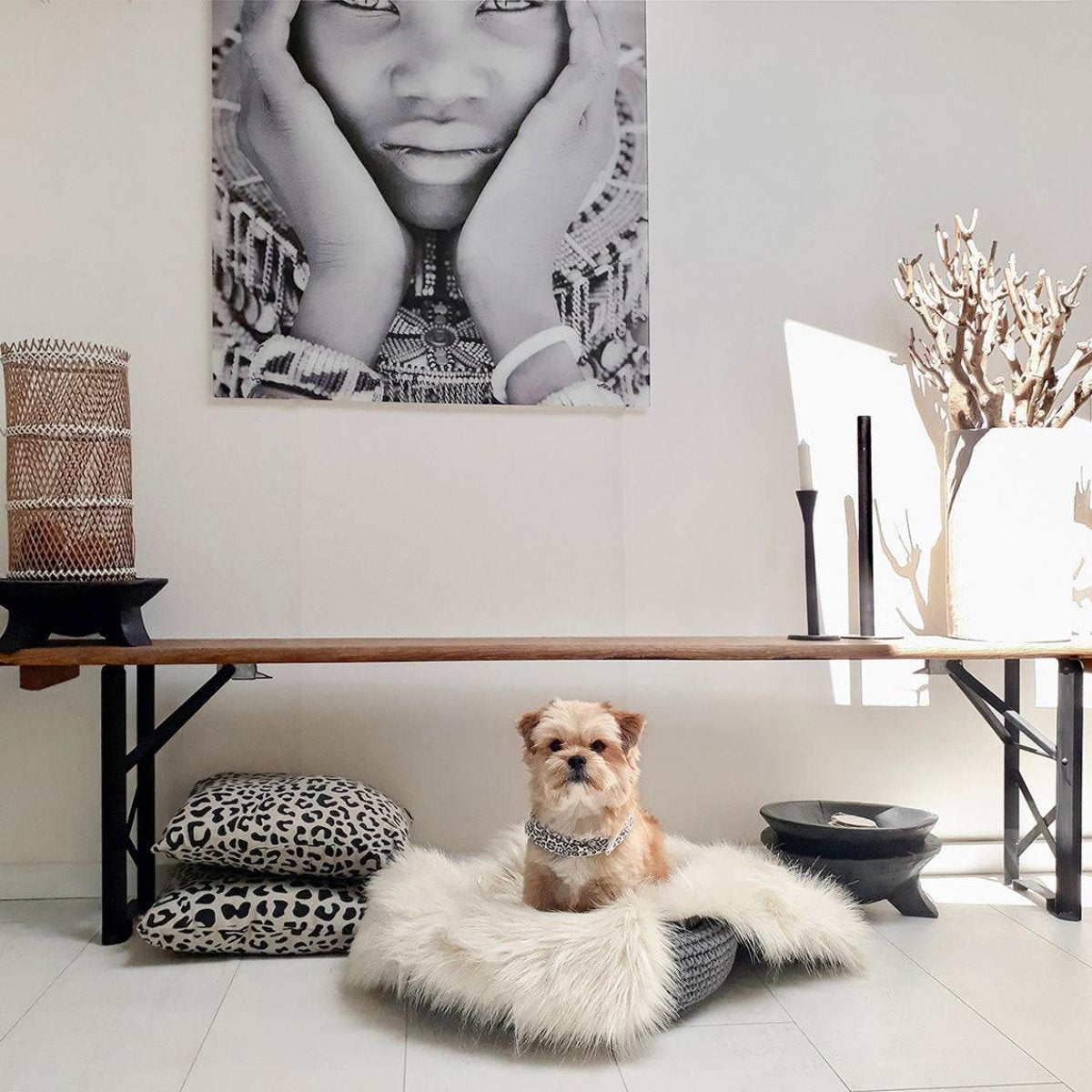 Plaid en fourrure pour chien & chat - FORA - Kasibe
