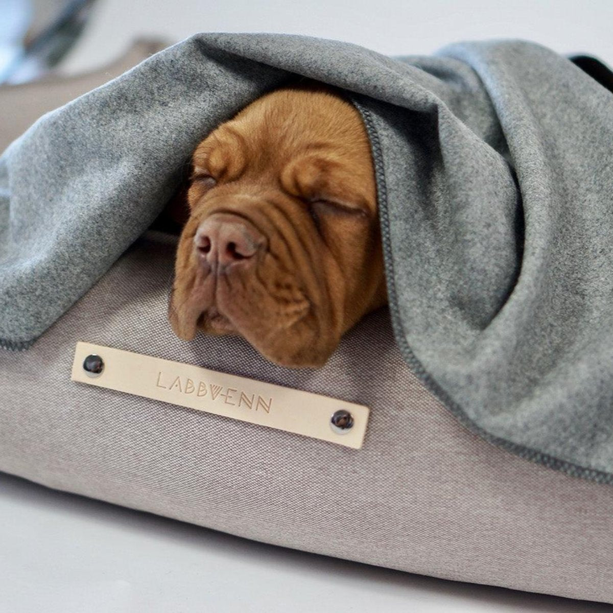 Plaid en laine pour chien - ASNEN - Kasibe