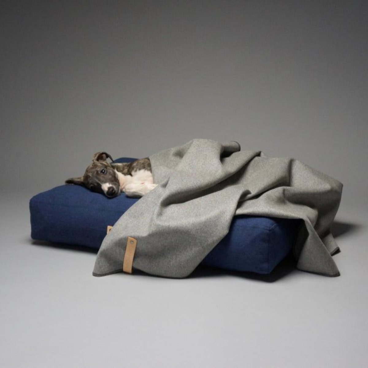 Plaid en laine pour chien - ASNEN - Kasibe