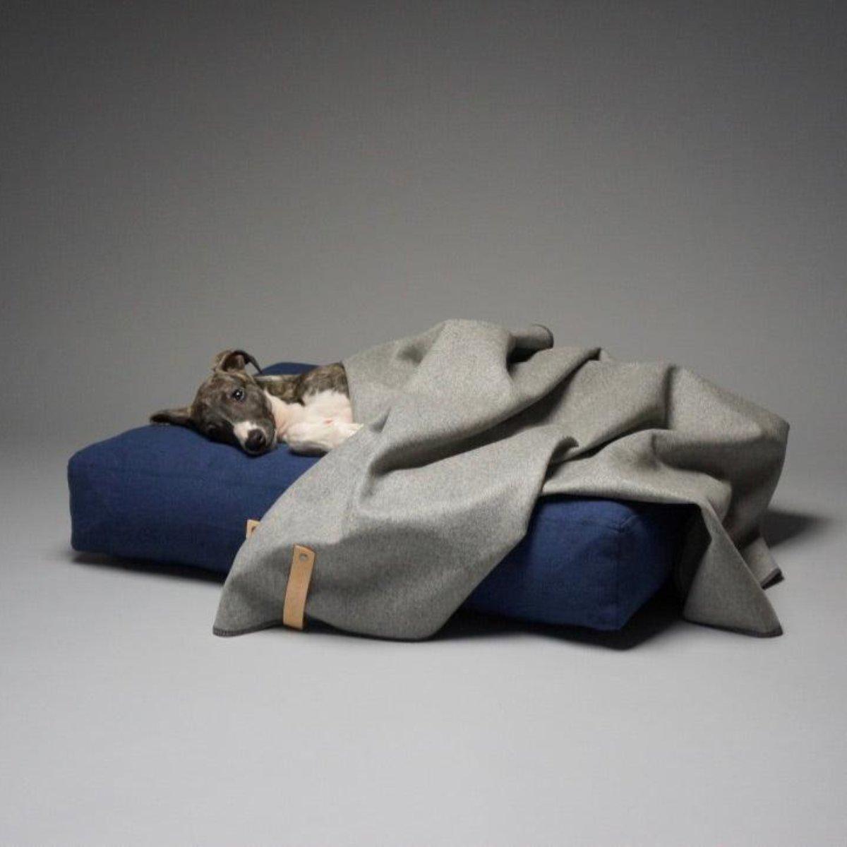 Plaid en laine pour chien - ASNEN - Kasibe