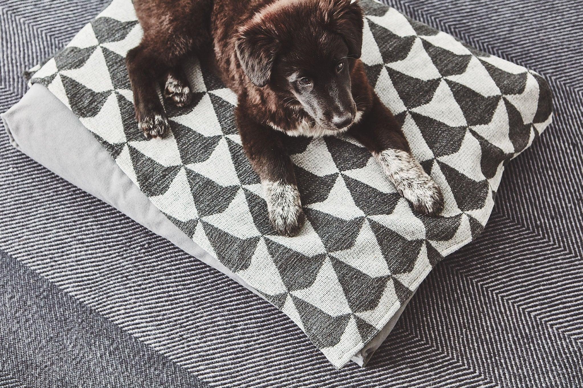 Plaid moderne en tissu graphique pour chien - CIELO - Kasibe