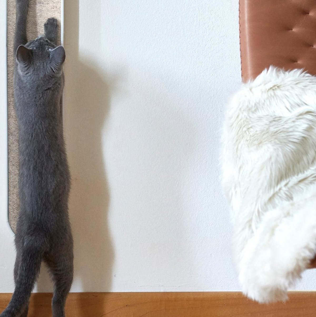 Plaid pour chat en fausse fourrure - LANA - Kasibe