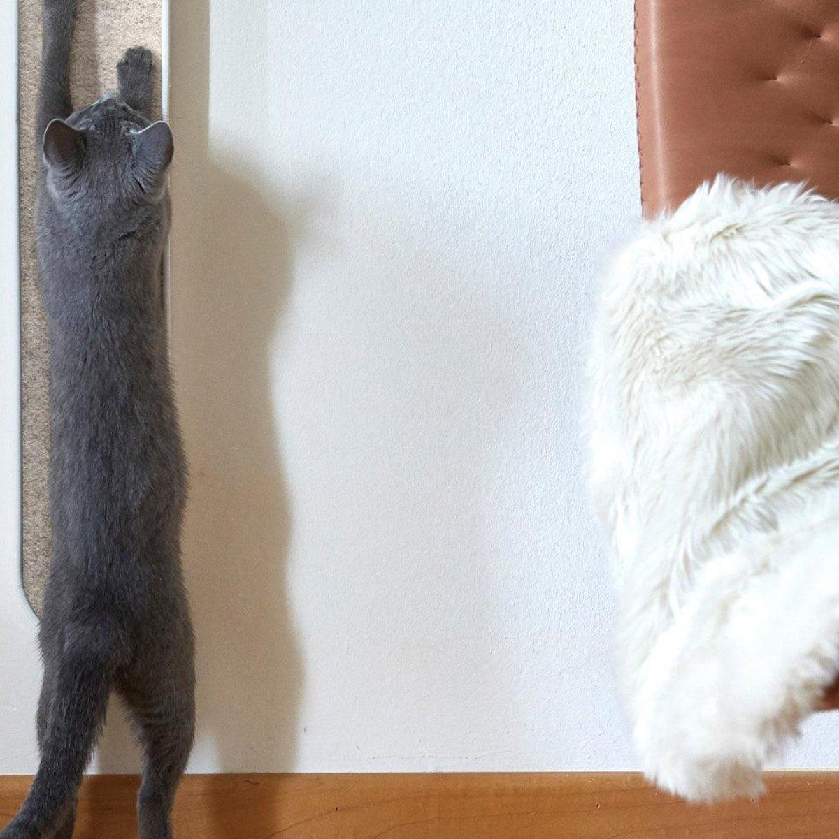 Plaid pour chat en fausse fourrure - LANA - Kasibe