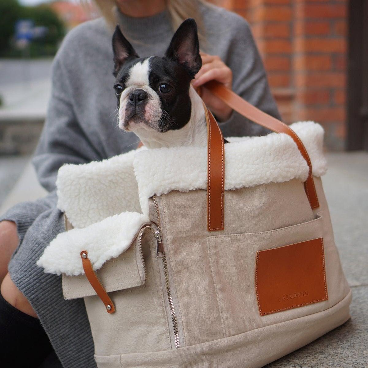 Liiva, un porte chien au style décontracté très pratique - kasibe