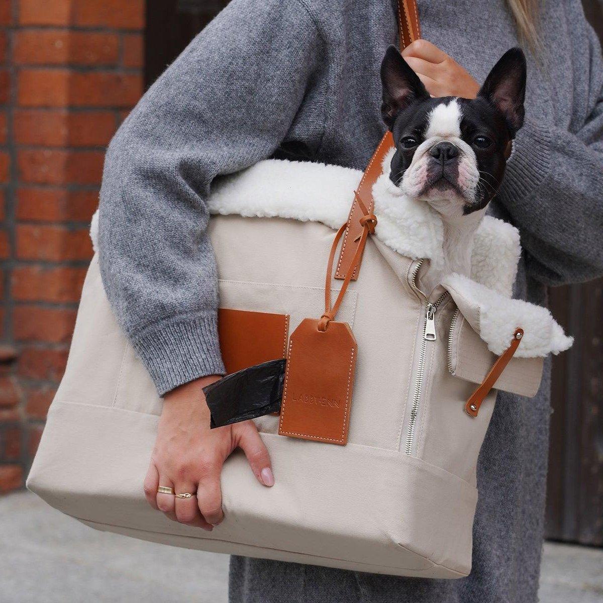 Liiva, un porte chien au style décontracté très pratique - kasibe