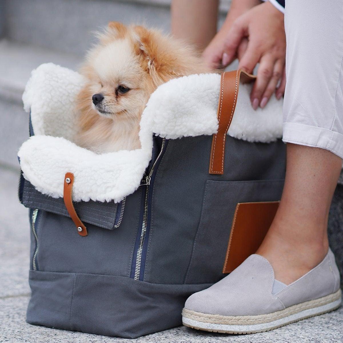 Liiva, un porte chien au style décontracté très pratique - kasibe