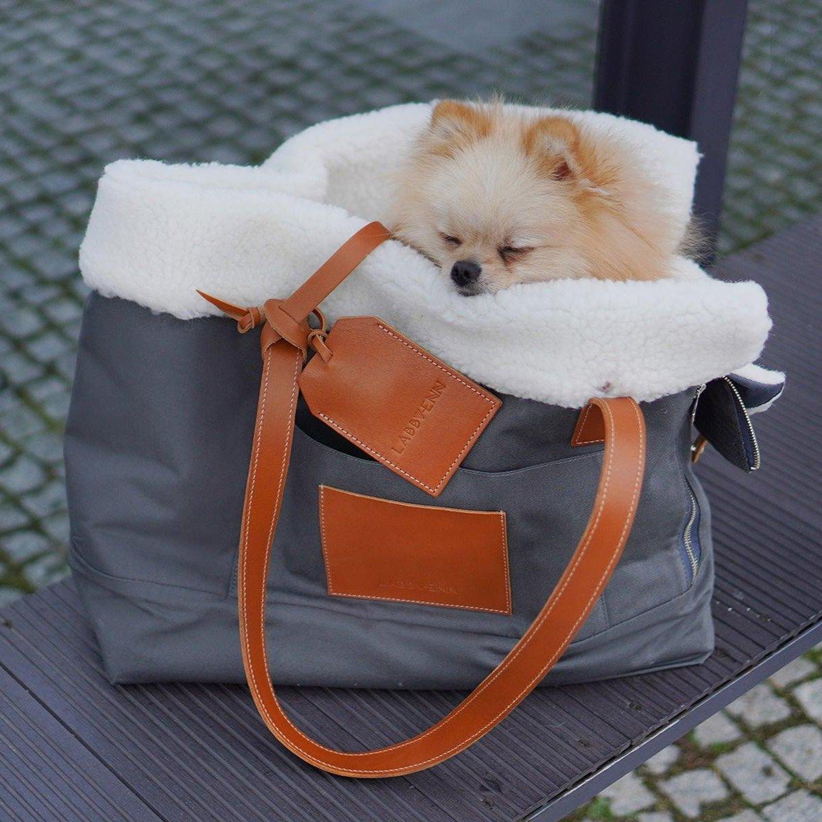 porte chien sac à main -kasibe