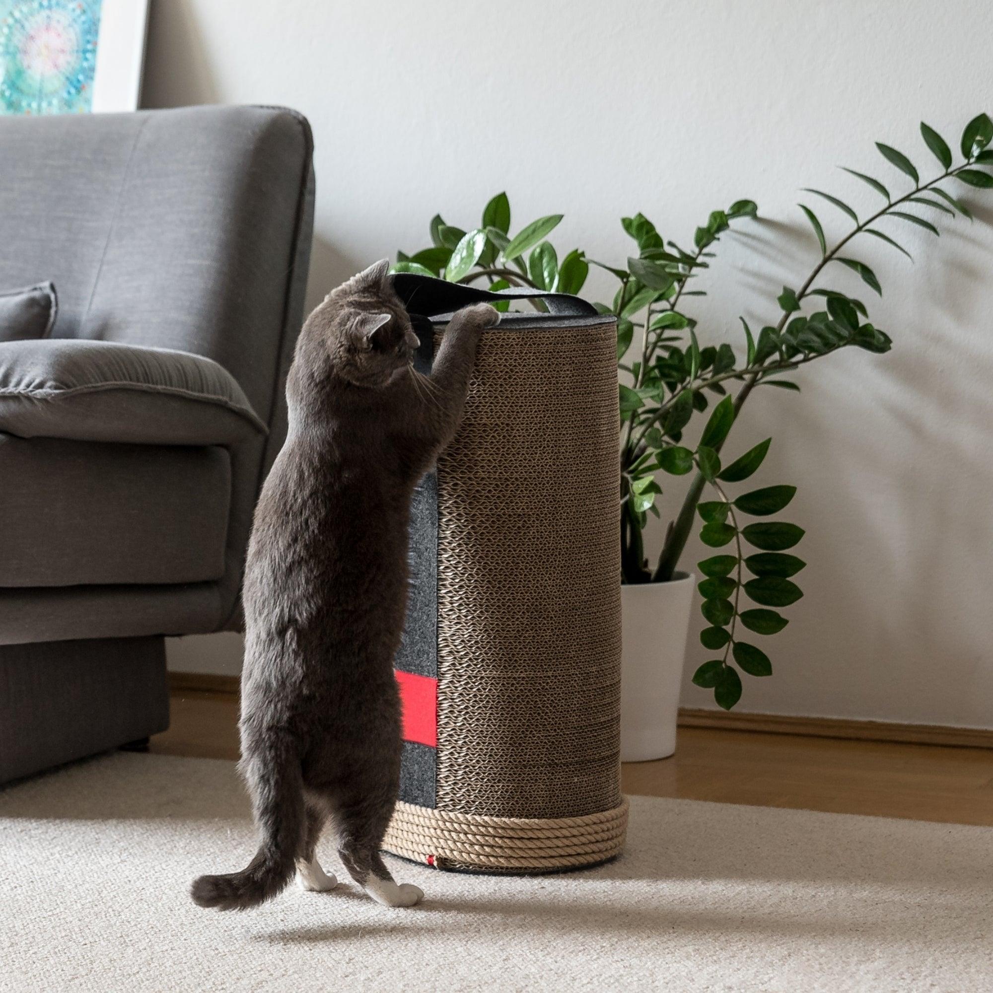 Poteau en carton à gratter pour chat - LILA - Kasibe