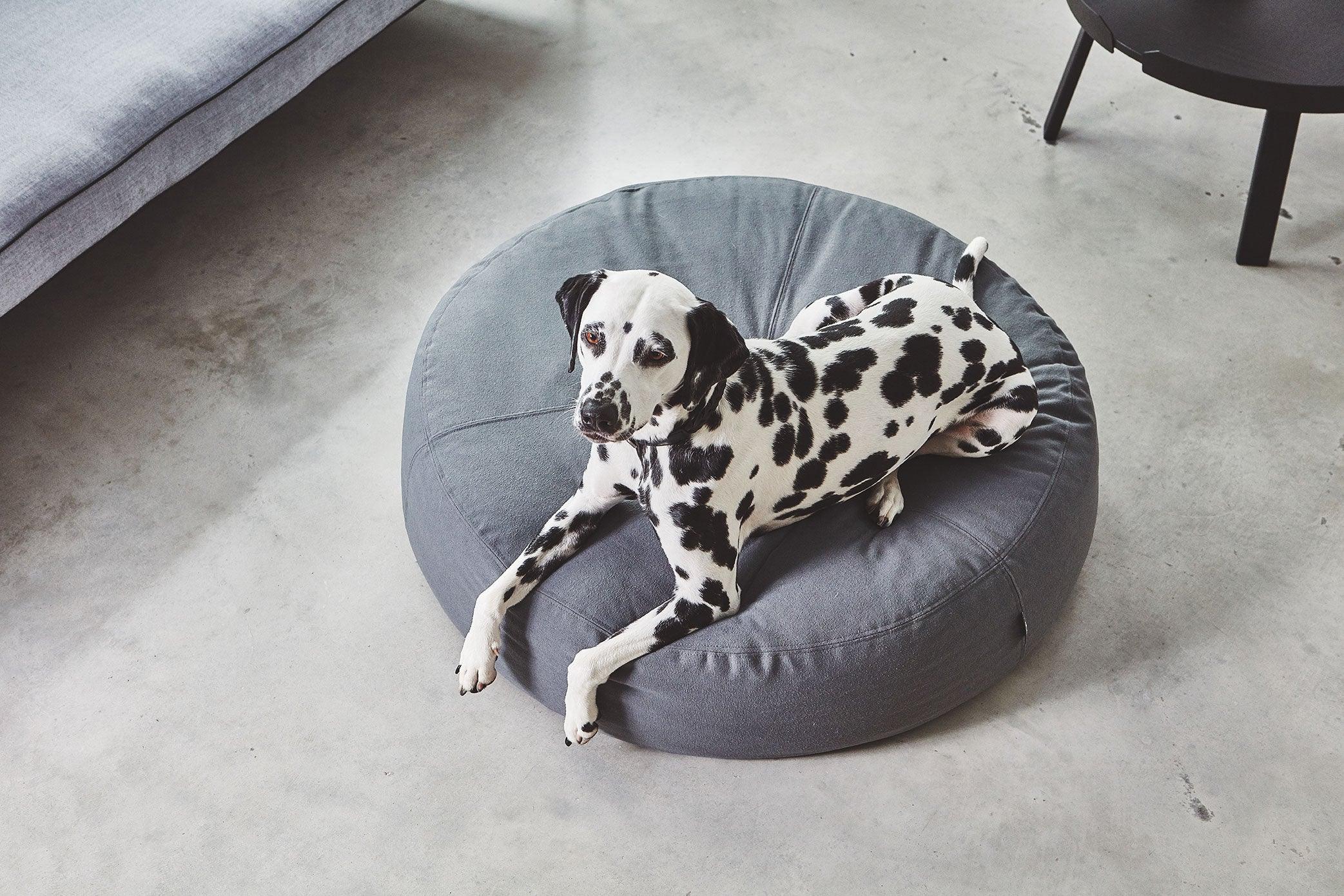 Pouf rond pour chien - STELLA - Kasibe