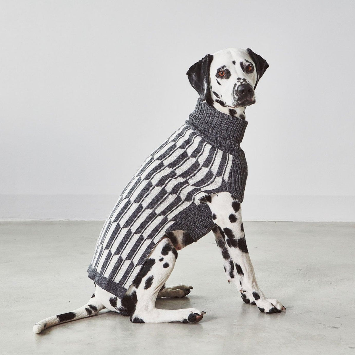Pull chaud pour chien, un chandail léger aux motifs géométriques Giulia -kasibe