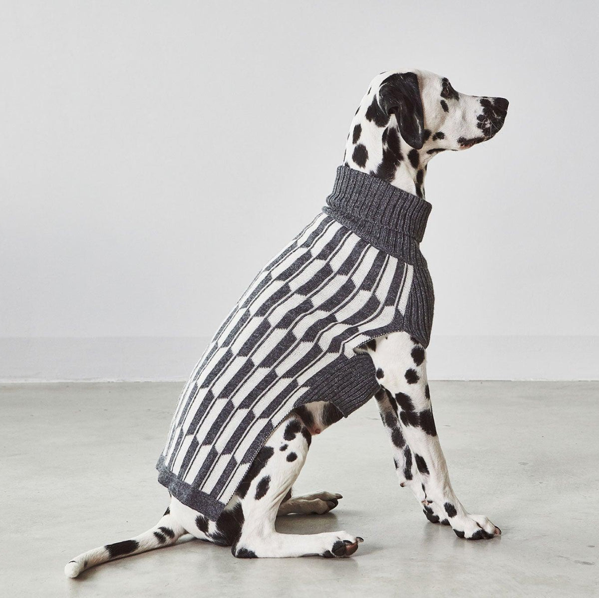 Pull chaud pour chien, un chandail léger aux motifs géométriques Giulia -kasibe