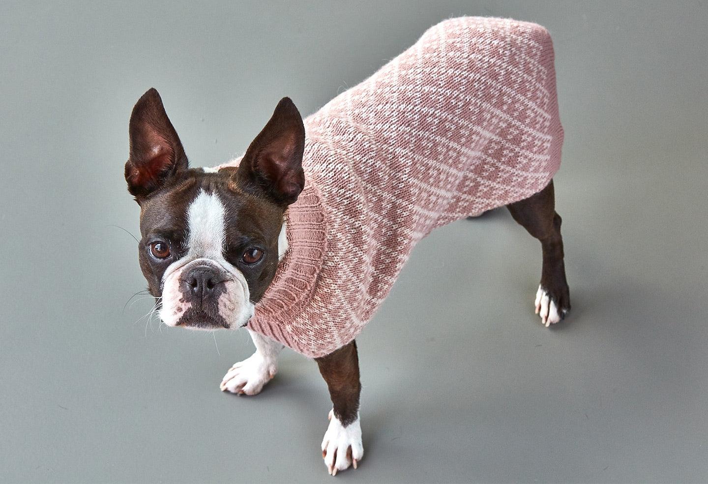 Pull pour chien en laine de mouton et d'alpaga - AURORA - Kasibe