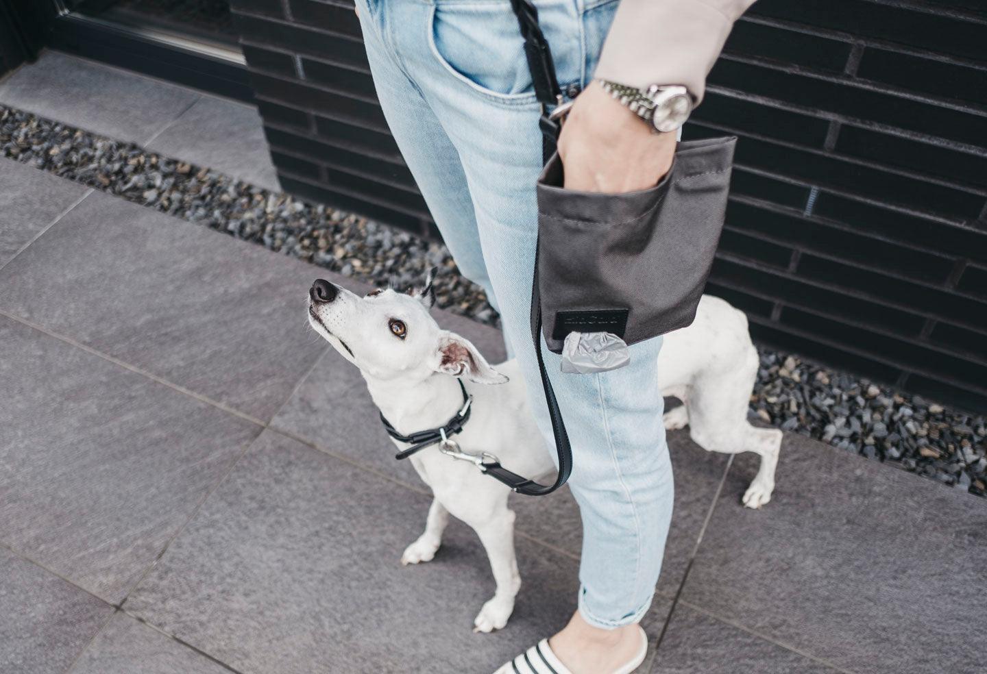 Sac à friandises pour chien - LUPO - Kasibe