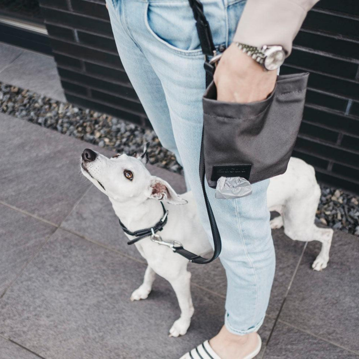 Sac à friandises pour chien - LUPO - Kasibe