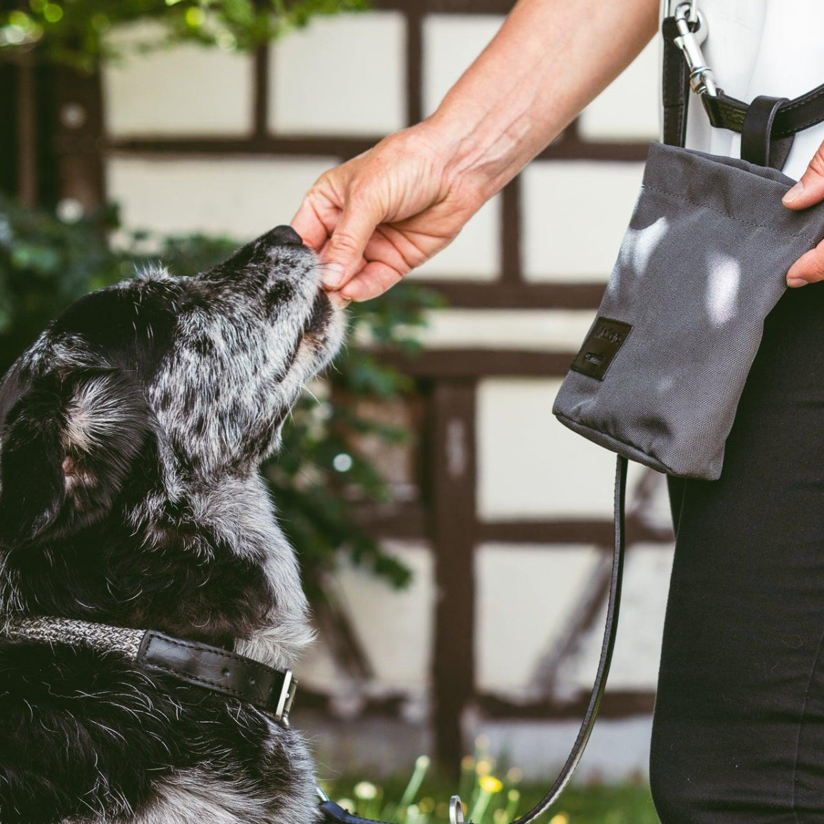 Sac à friandises pour chien - LUPO - Kasibe