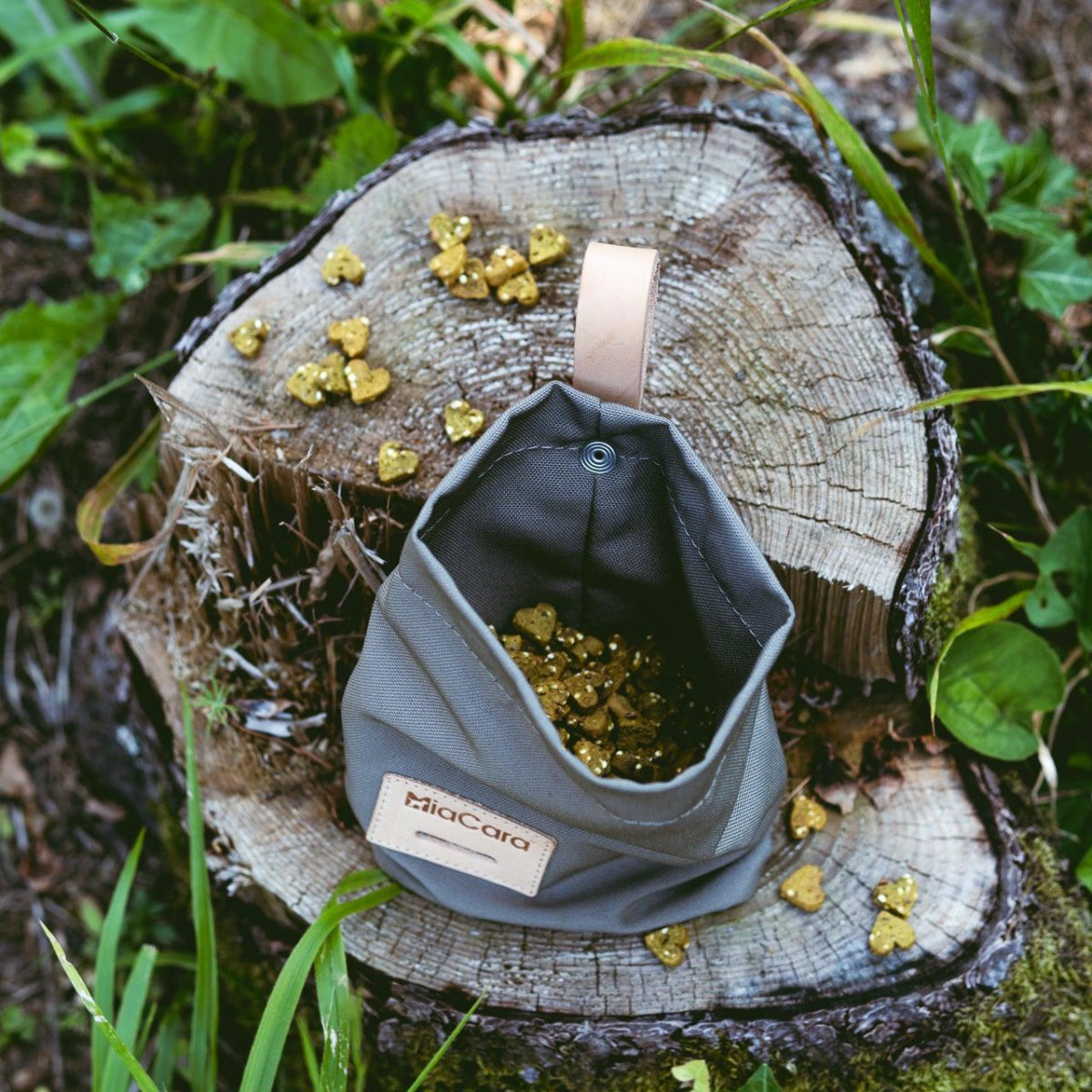 Sac à friandises pour chien - LUPO - Kasibe