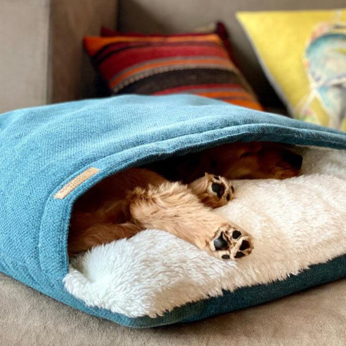 Sac de couchage pour chien - BLISS - Kasibe