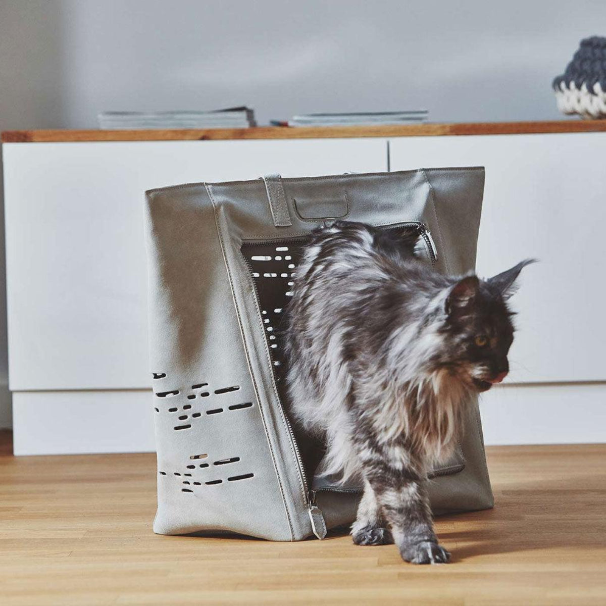 Sac de transport pour chat - TOSCA - Kasibe