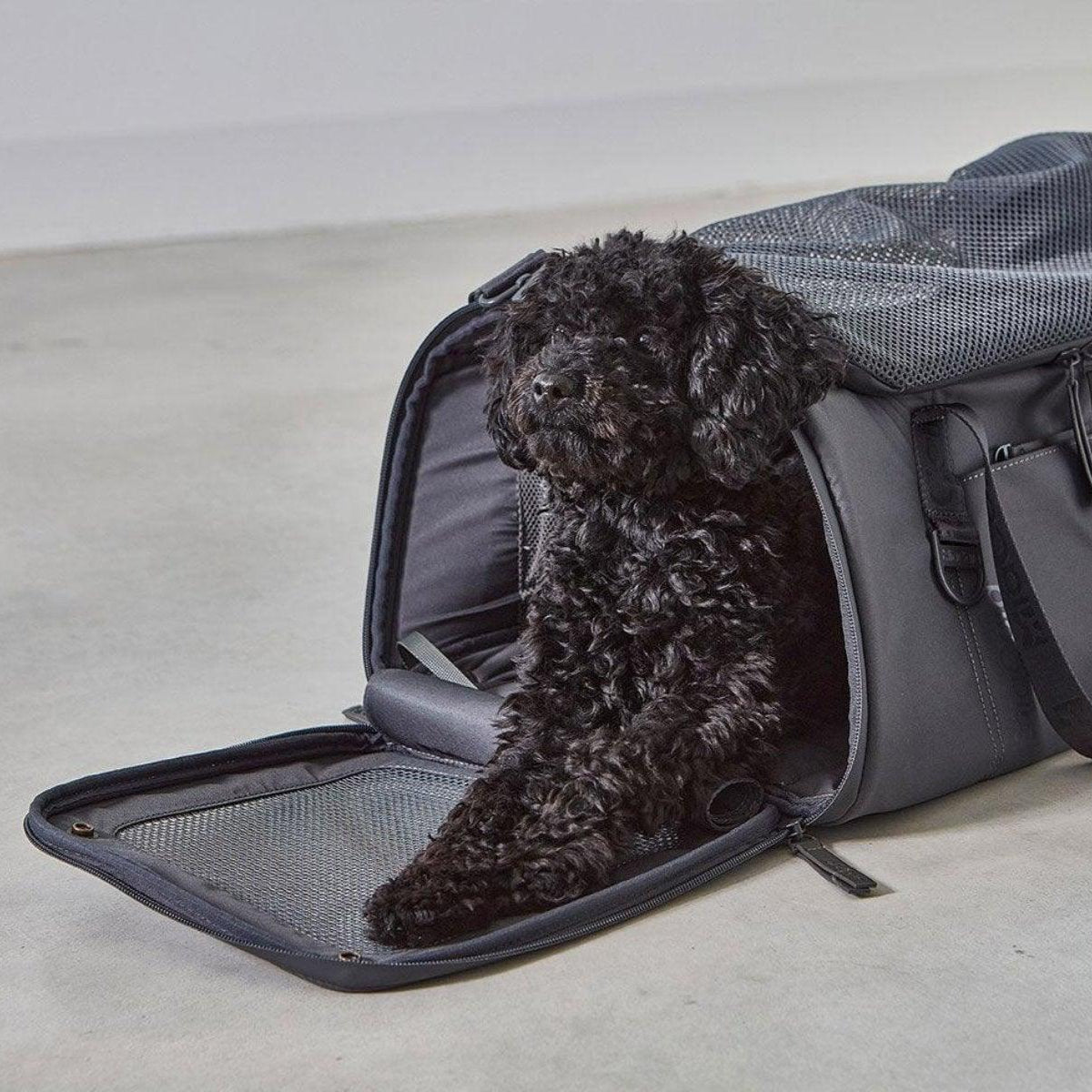 Sac de voyage pour chien ou chat - VOLATA - Kasibe