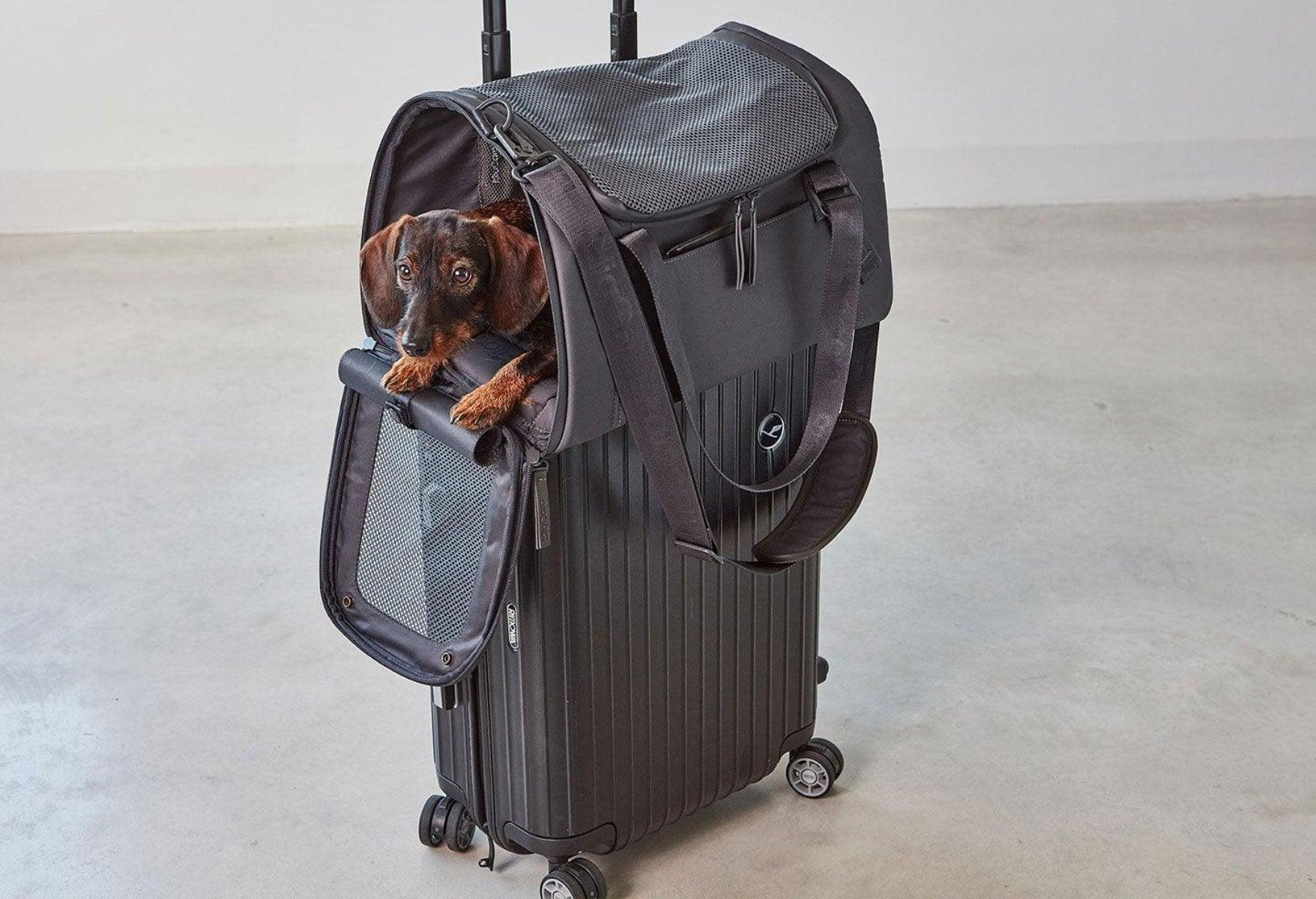 Sac de voyage pour chien ou chat - VOLATA - Kasibe