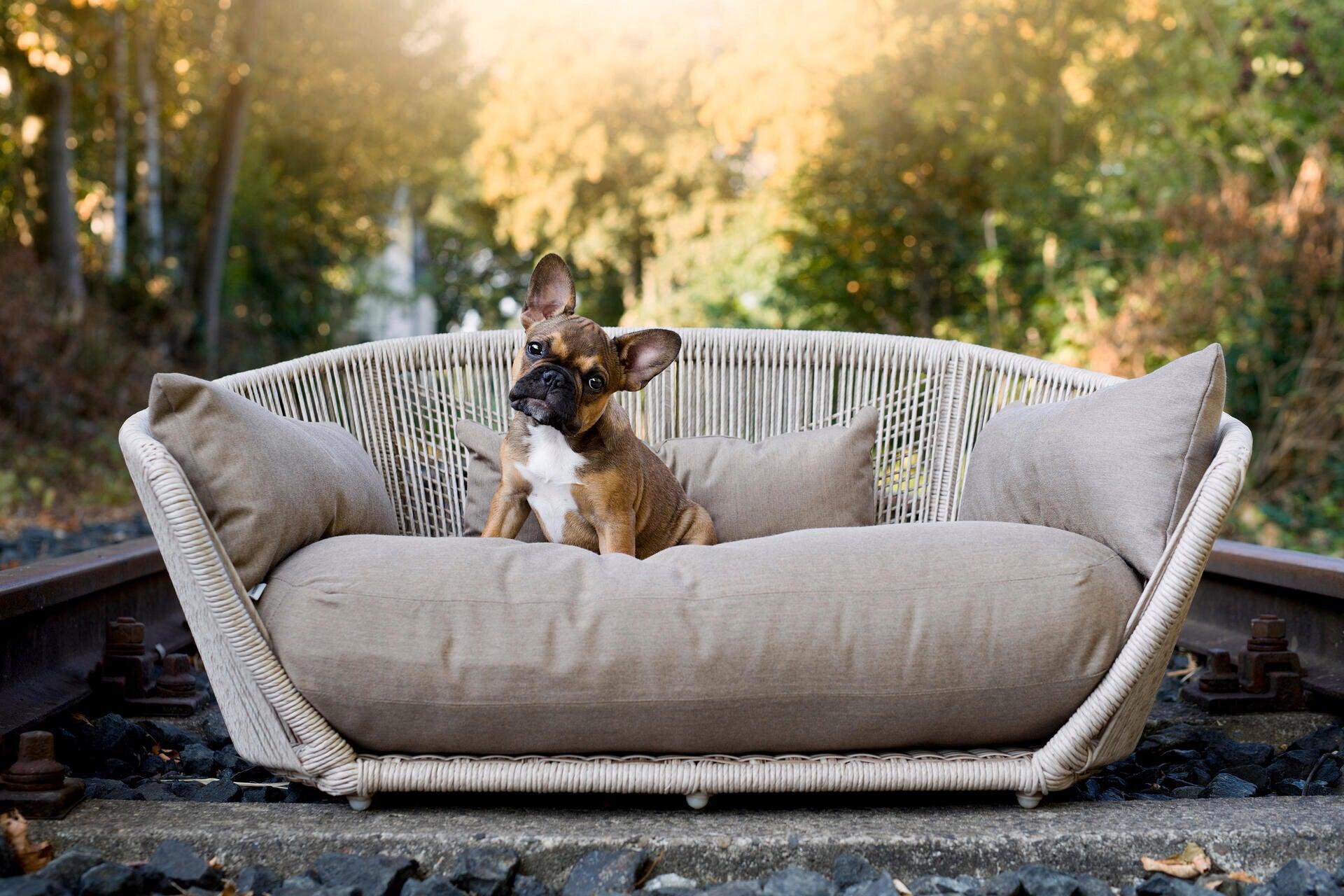 Sofa design pour chien - LUNA SMOOTH - Kasibe
