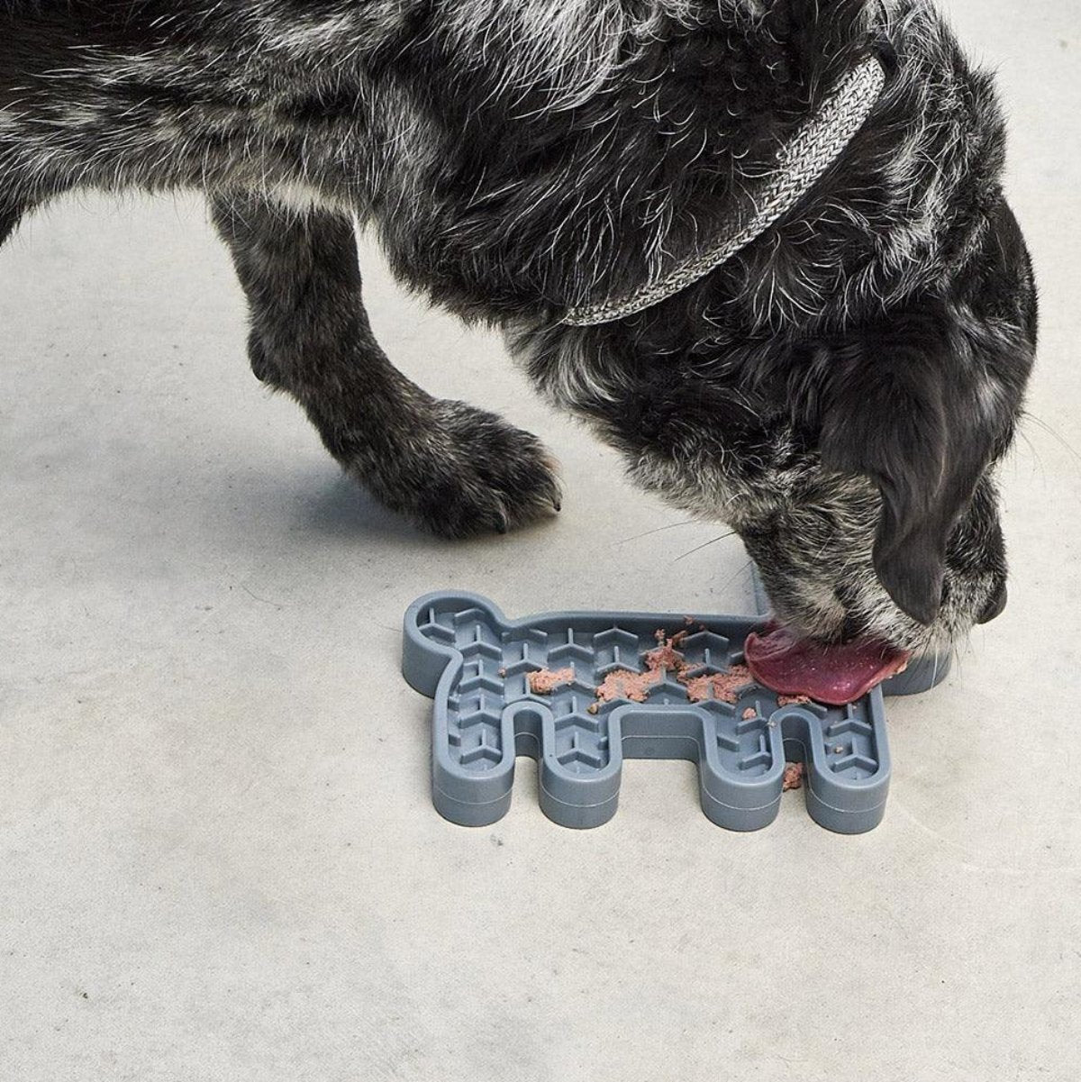Tapis de léchage pour chien anti-glouton lièvre bleu - kasibe