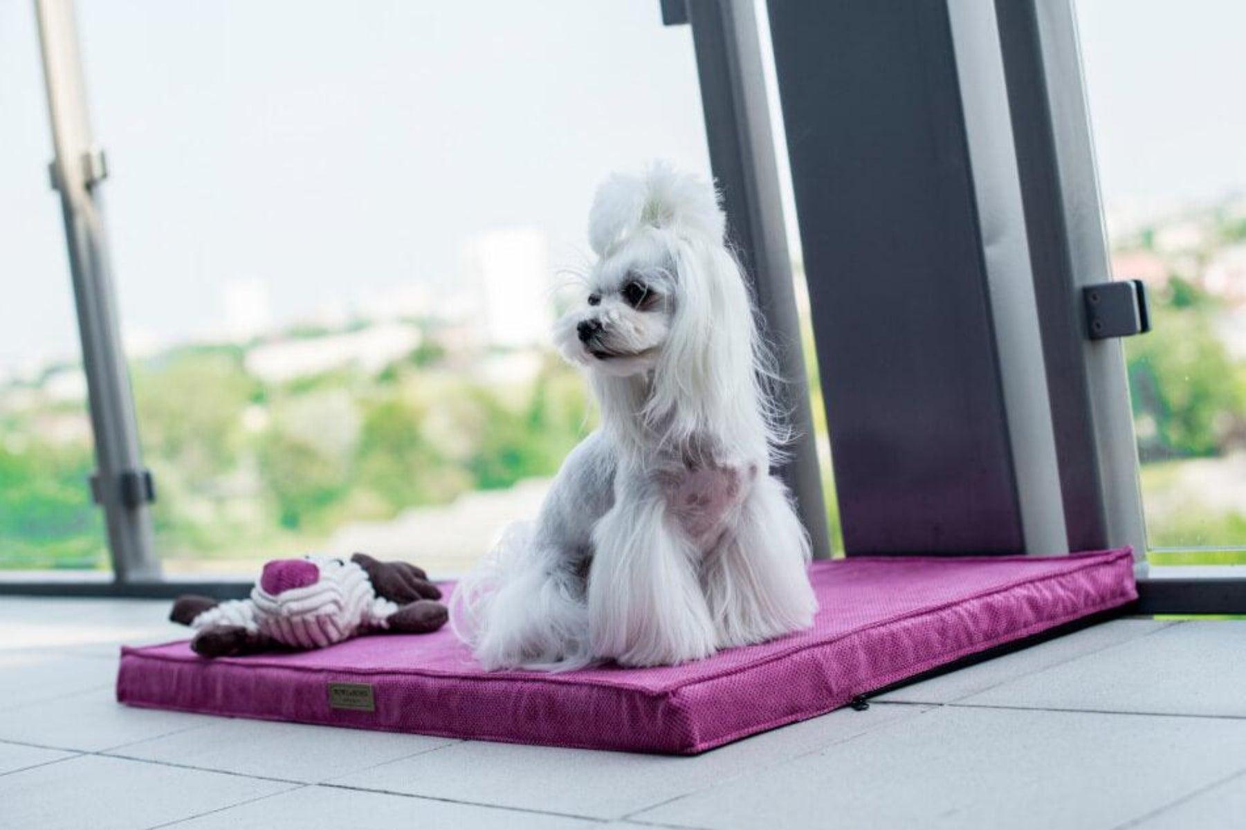 Tapis pour chien - CHILL - Kasibe