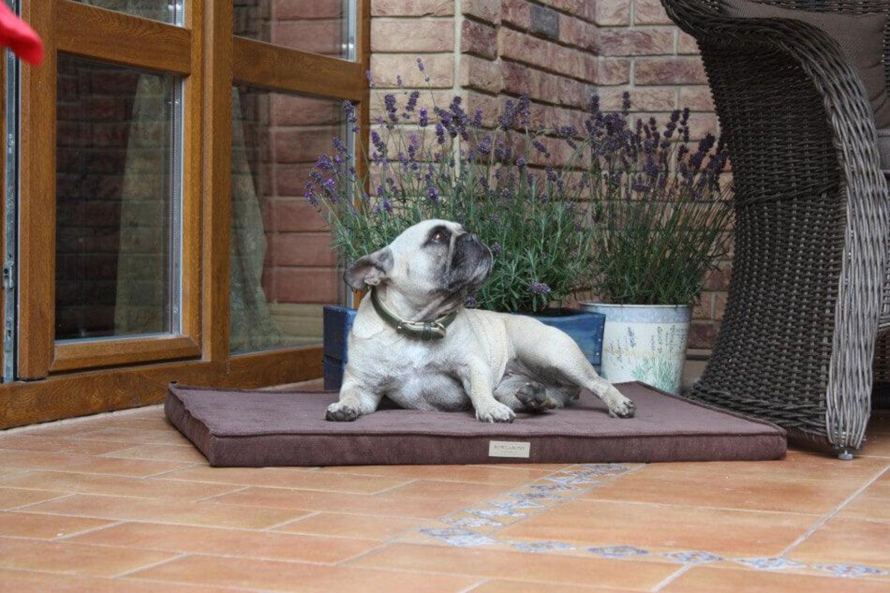 Tapis pour chien - CHILL - Kasibe