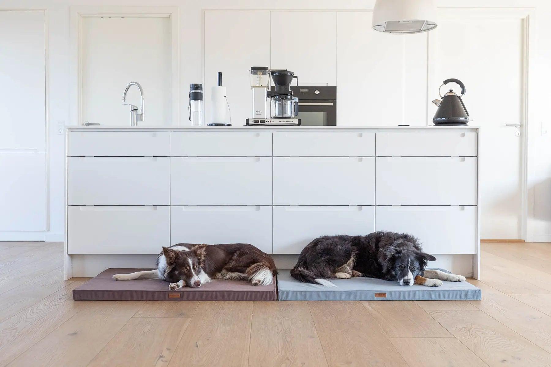 Tapis pour chien en mousse - CLASSIC - Kasibe