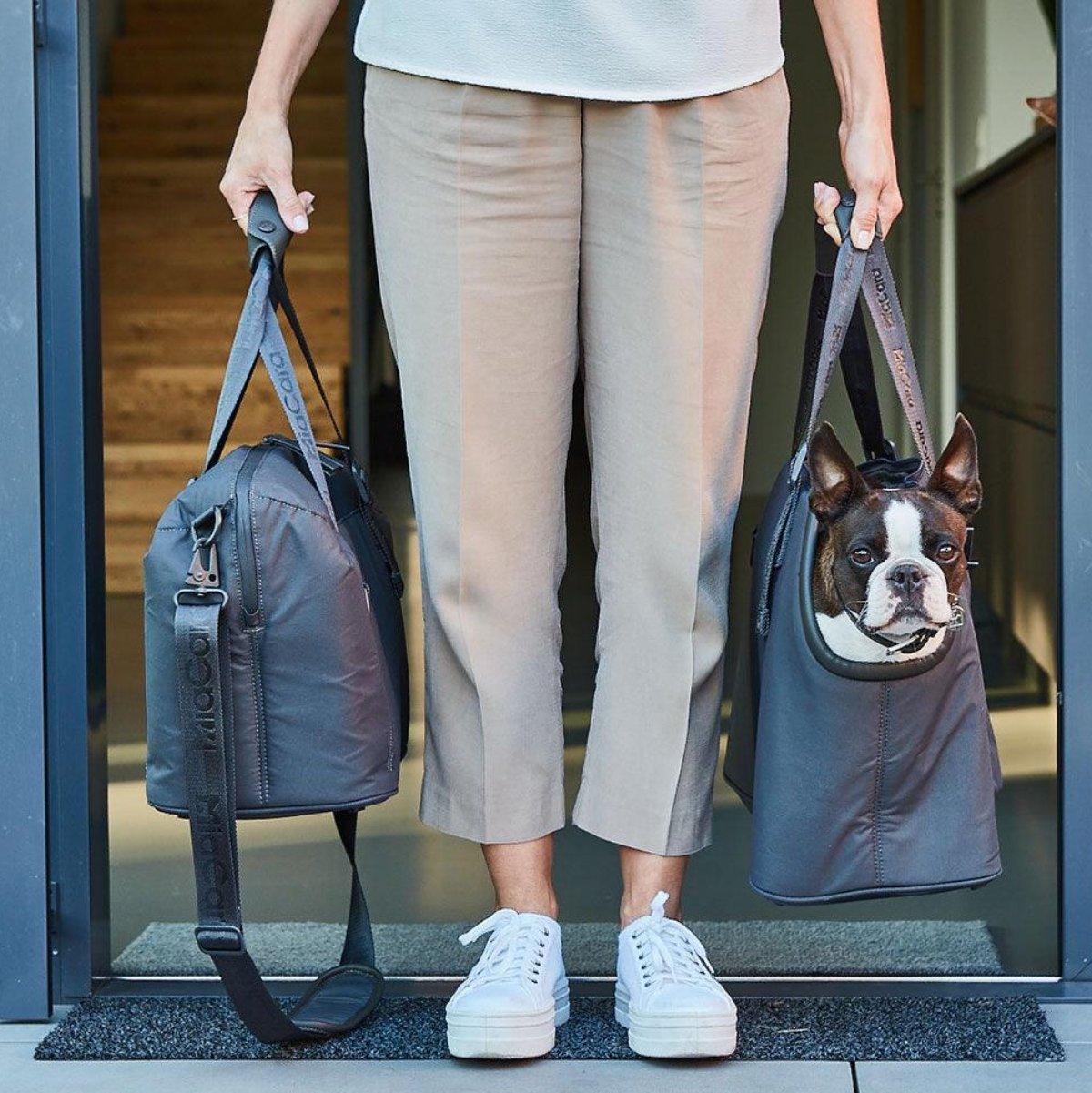 Vacanza, une valise pour mon chien pour ranger ses affaires - kasibe